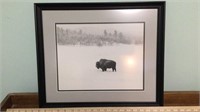 Buffalo in Snow Framed Photo
