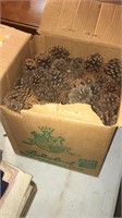 Box full of pine cones-