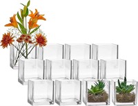 $55  Set of 12 Glass Square Vases