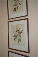 3 Framed Bird Prints