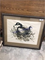 Canada Goose framed print, 29x34