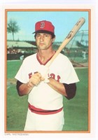 CARL YASTRZEMSKI BASEBALL CARD