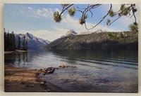 REDFISH LAKE IDAHO Print By Dan Liffick