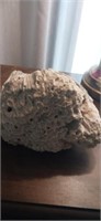 Coral rock (good size )
