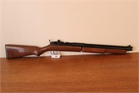 Sheridan Pellet gun