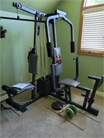Home gym- Weider 8630 training system, dumbbell