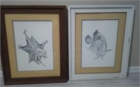 Pr. Framed Sealife Prints Pencil Sgd & Nbd U