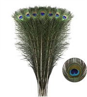 Larryhot Natural Long Peacock Feathers