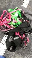 dog harnesses and leash