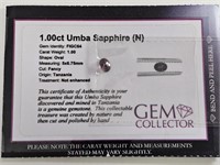 1.00ct Umba Sapphire (N)