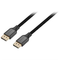 (2) DisplayPort to DisplayPort Cables (6' & 10')