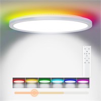 Sealed - Royana Dimmable RGB Ceiling Light