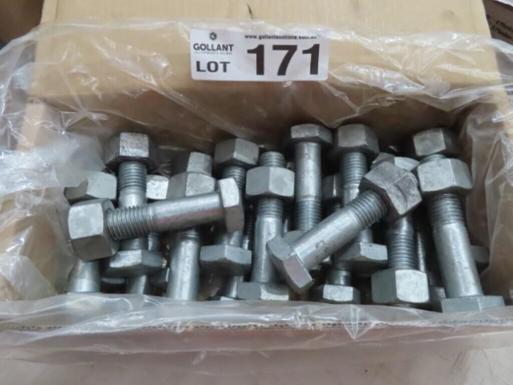 20 x M2h x 110 Galvansied Structured Assembly Bolt