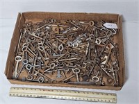 Hoard of Antique Skeleton Keys