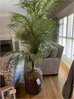 8 FT PRESERVED PALM TREE IN BASKET