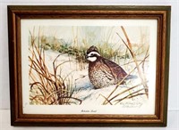 Bobwhite Quail Signed Print R.J. McDonald