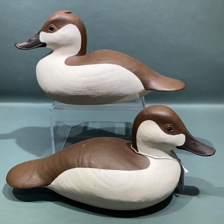 2 ROBERT HESS HEN RUDDY DUCKS