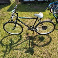 YD Magna Bicycle 10 Speed