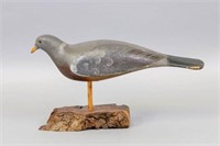English Pigeon by W.R. Grace From Kent England,