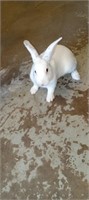white rabbit with black spots