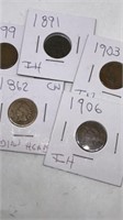 5 assorted Indian head pennies