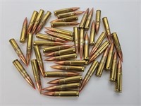 42 Rounds - .300 AAC Blackout Assorted