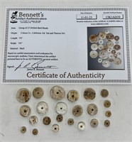 23 AUTHENTIC INDIAN ARTIFACT SHELL BEADS W/COA