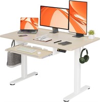 Standing Desk  48x24 In  Adjustable  Natural