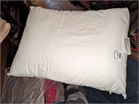 Firm Pillow