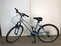 Adult silver blue bike