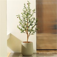 TN6537  DR.Planzen 4FT Olive Tree