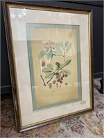 Vintage Botanical Framed Art Print