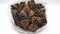 Seasoned Pine Cones For Craft Projects