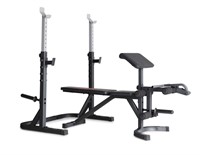 Weider Attack Series Olympic Bench and Rack