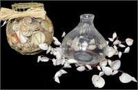 Seashell Decor