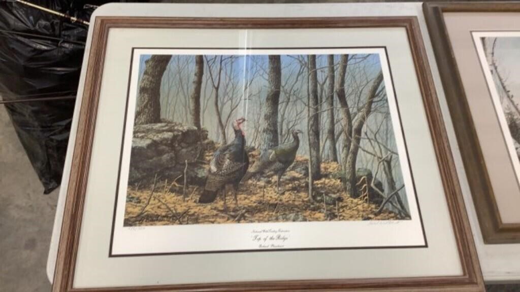 Wildlife print by Richard Plasschaent, NWTF Top