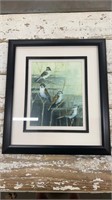 Beautiful Framed Bird Picture. Black Frame with