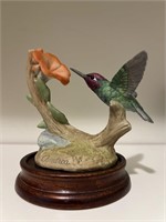 Anna's Hummingbird by Andrea 1986