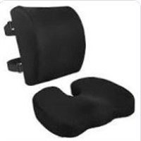 Petocase Memory Foam Back & Seat Cushion