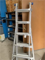 Folding Ladder With Spare Hinges