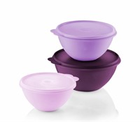 Tupperware Wonderlier Bowl Set