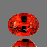 Natural Red Orange Spessartite Garnet [IF-VVS]