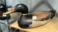 Tom Taber Wood Duck