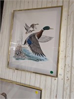 Richard A. Montanbault Flying Duck Framed Print