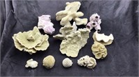 Collection of Small Coral Pieces