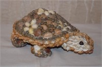 (S3) Shell Art Turtle