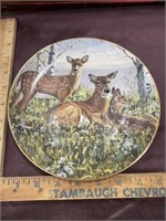 Deer collector plate