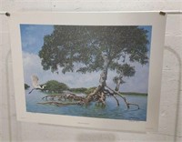 Wellington Ward Signed/#'d Print Everglades U15E