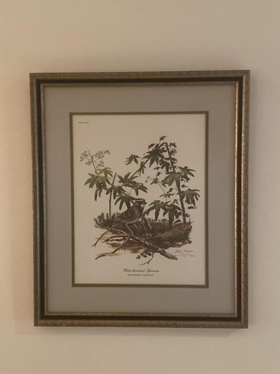 Signed Ray Harm White Throated Sparrow Print
