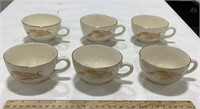6-Cups- no visible brand